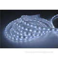 LED Strip 5050 Non-Waterproof White LED Strip